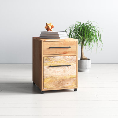 Ascent 2-Drawers Mobile Vertical Filing Cabinet