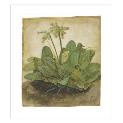 «Touft of Cowslips» par Albrecht Dürer, impression giclée sur cadre