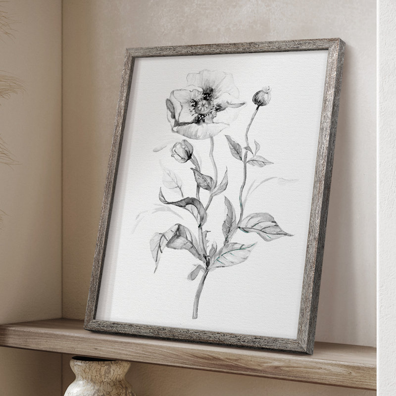 «Wild Poppy S Croquis», reproduction encadrée - bois massif 47964, H 15 po x l 12 po