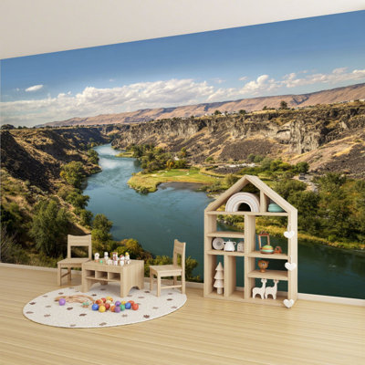 Murale auto-adhésive moderne pour la chambre à coucher serpent rivière Idahos L 96 po x l 69 po Peel and Stick