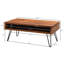 Anegam Coffee Table with Storage