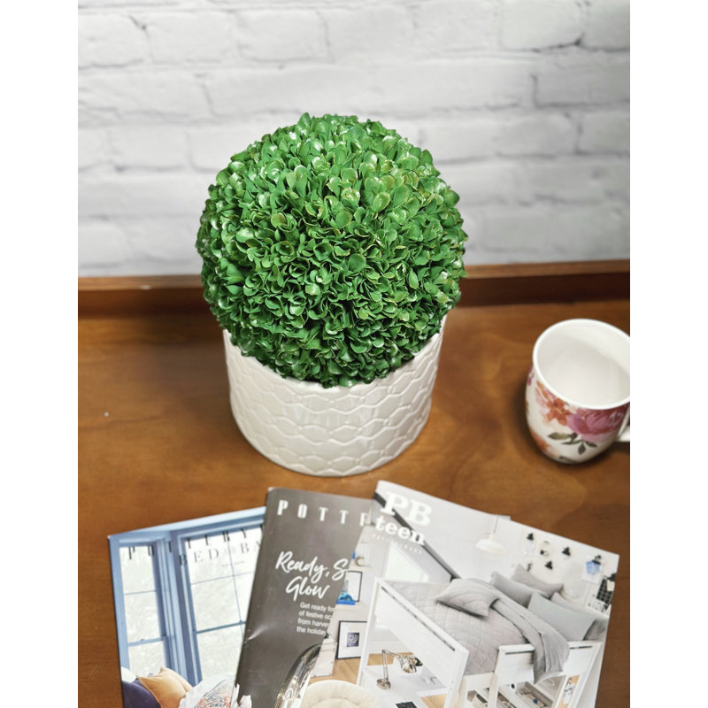 Faux buis préservé, H 7,25 po x l 7,25 po x P 7,25 po