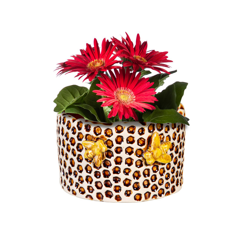 Ceramic Honeycomb Crackled Planter