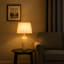 Asghar Metal Table Lamp-860628509-860628576