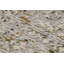 Van Area Rug-845634351