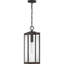 Mini-luminaire suspendu 1 lumière Wiebe-63380493