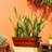 7.8 In. Dark Wood Plastic Rectangle Self-Watering Planter Pot