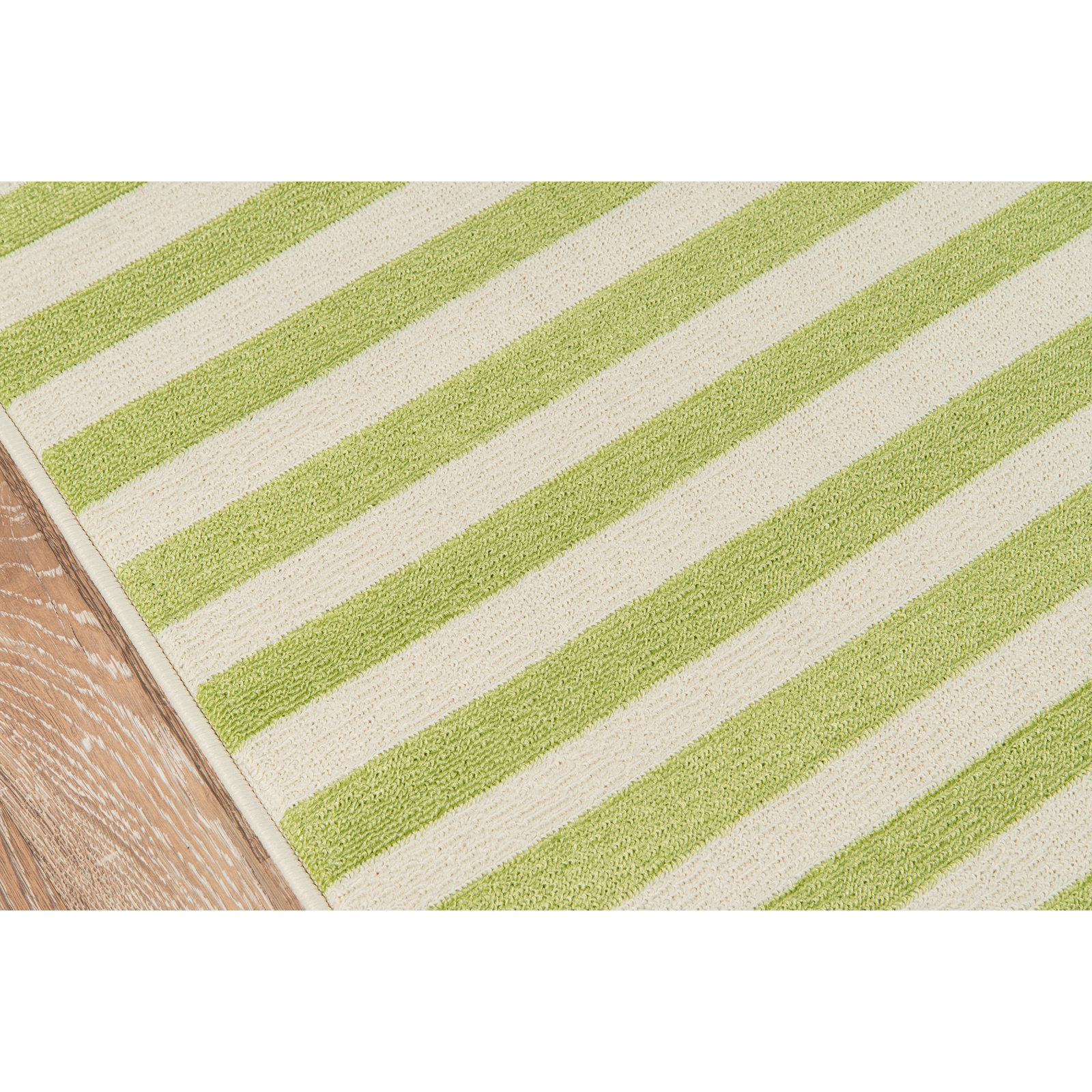 Yepez Green/White Indoor/Outdoor Rug, Rectangle 3'11" x 5'7"
