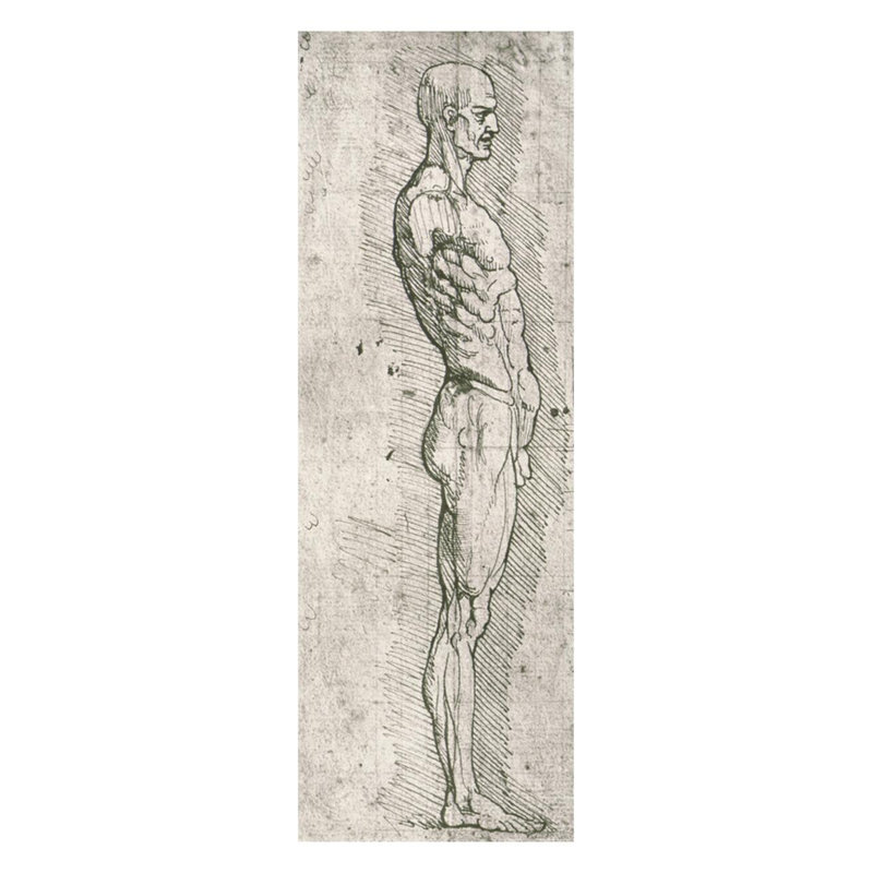Anatomical Study (n / b photo) par Leonardo da Vinci - Estampe numérique, H 28 po x l 22 po