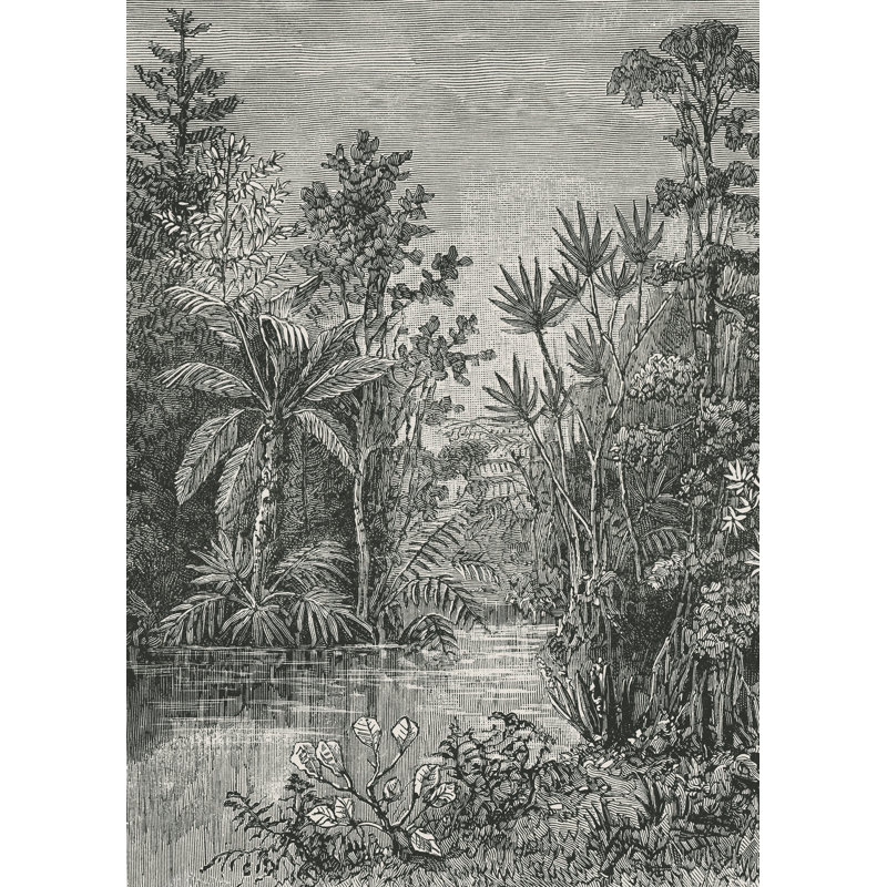 Superfresco Easy Archive Jungle Black & White Print To Order Mural