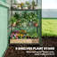 Serre de jardin, serre extérieure, serre spacieuse-126022755