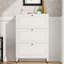 Armoire de rangement pour chaussures