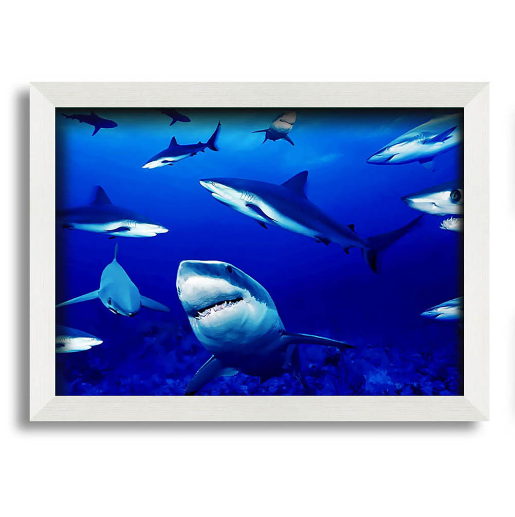 Gerahmtes Bild Sharks Ocean