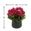 Arrangement floral bégonia-920028643-813824248