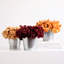 Arrangement floral renoncule en pot-1420231519