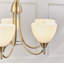 Barium 5 - Light Shaded Chandelier-14439532