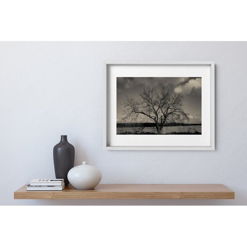 Baum Im Winter Print by Joseph Regan, White, 14" H x 16" W x 0.75" D