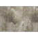  Cerrito Area Rug