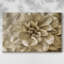 «Neutral Wall Flower III», toile tendue avec châssis-983866086