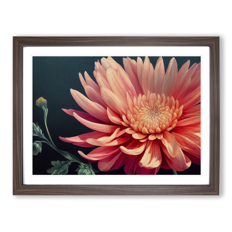 Timeless Chrysanthemum Flower 1 Piece Single Picture Frame Wall Art, 46cm H x 64cm W x 2cm D, Walnut Framed