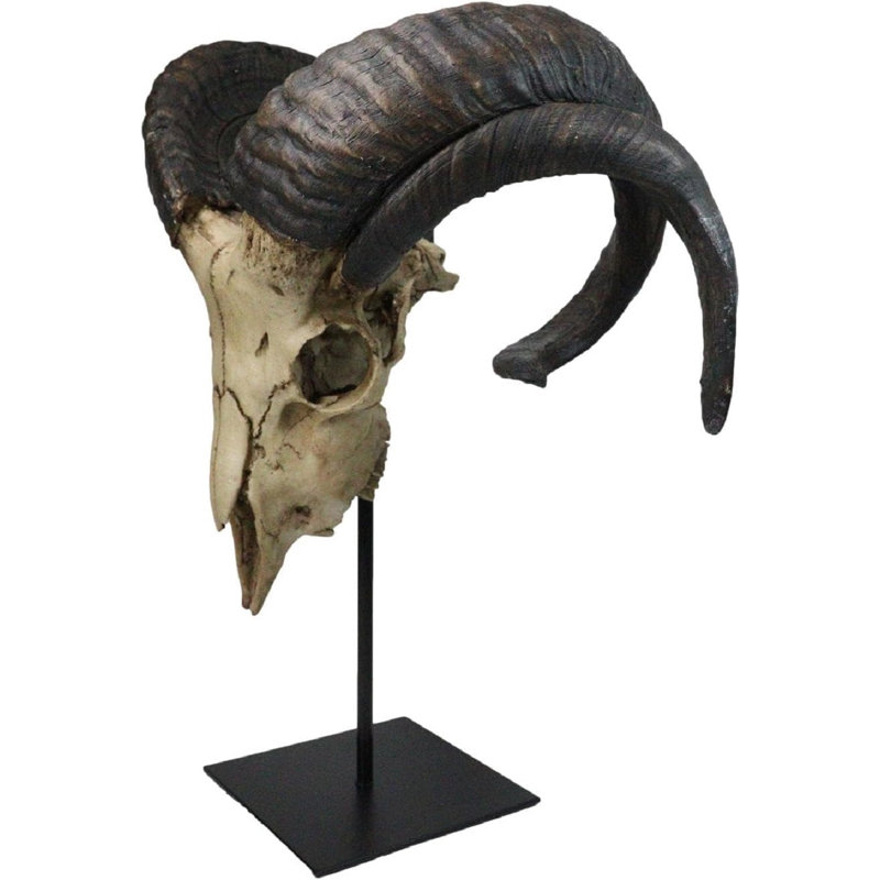 Grande sculpture de tête de crâne de bélier à quatre cornes Alien