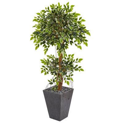 60'' Faux Ficus Tree in Stone Planter