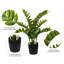 Buisson artificiel zamifolia zen vert en pot-20583942