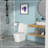 Ceramic One Piece Toilet,Dual Flush With Soft Clsoing Seat