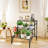 Metal Plant Stand