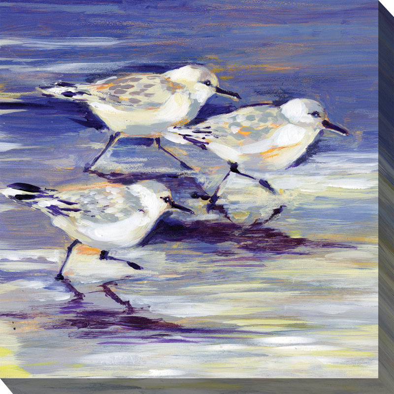 Art extérieur Sandpipers