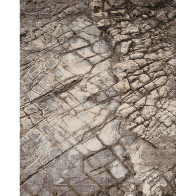 Tapis gris / brun en soie / laine noué à la main Artist Vision