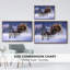 Nick's Express, reproduction d'art sur toile-106061957-106061958