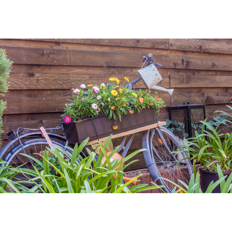 Old Bicycle - Wrapped Canvas Print, 30cm H x 46cm W x 3.8cm D