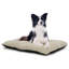 Lit lavable rectangulaire pour chien avec fond antidérapant doux et moelleux pour chien et chat, idéal pour les caisses et l'intérieur-1092283609