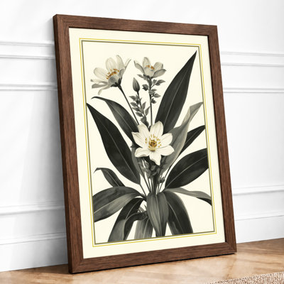 Flowering Plant Study Botanical - Print