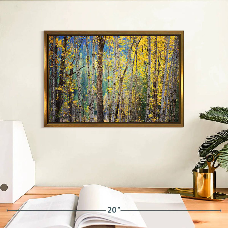 Kootenay Fall II, Cadre flottant doré, 13 po x 9 po