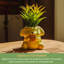 Mini pot à fleurs en céramique Sanompompurin avec plante grasse artificielle Sanrio