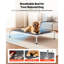 Grand lit surélevé pour chien - Lit surélevé portatif avec filet respirant, structure en aluminium robuste, 49 po x 33 po dans un espace confortable, assemblage facile en 10 minutes, grande fiabilité, surface, installation rapide