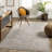 Jazive Oriental Indoor Rug-772818326