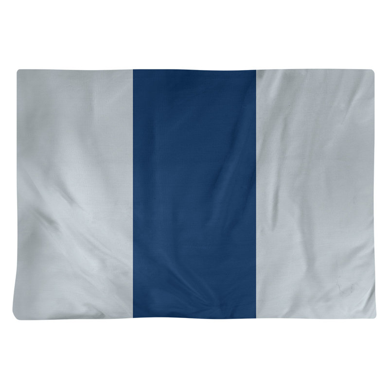 Récapitulatif 18" basket Washington, Argent / bleu marine / argent, Polyester
