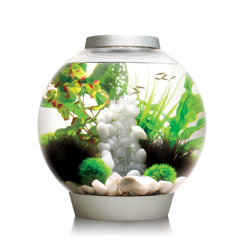 Silver 8-Gallon Acrylic Desktop Aquarium with LED Light