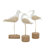 Oswestry Polystone Bird Decorative White Sculpture Set