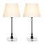 Ensemble de lampe de table transparente 19,3 "Briggsiii