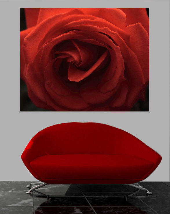 Adhésif décoratif rose Batie, H 19 po x l 24 po
