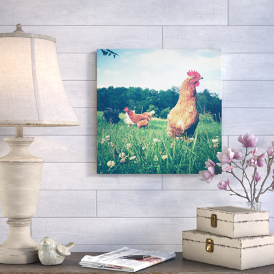 Poulets, reproduction de photo sur toile tendue