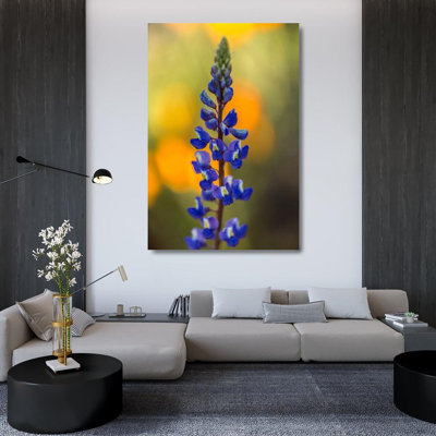 «Red Barrel Studio®», art sur toile tendue par la galerie Jaynes Gallery: Arizona, Peridot Mesa lupin