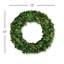 Boxwood Wreath-1913964171