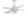 Abirad 122cm Ceiling Fan with Light Kit