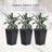 Set of 3 Tall Planters with Drainage Hole, Outdoor Flower Pots, Indoor Planters for Porch, Front Door, Entryway, Patio and Deck-332062509