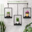 Porte-plantes mural pour plantes d'intérieur